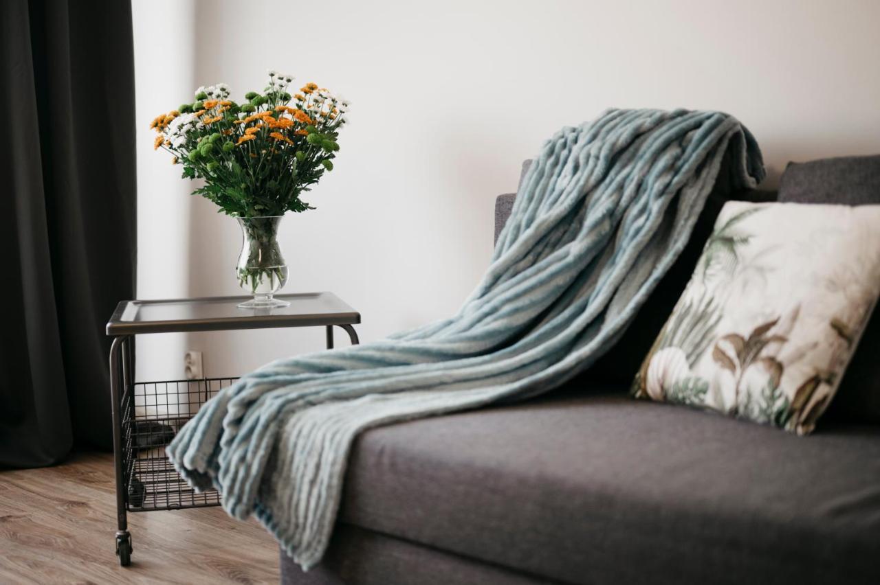 Nocosfera Apartament Serbinow Kaliszki エクステリア 写真