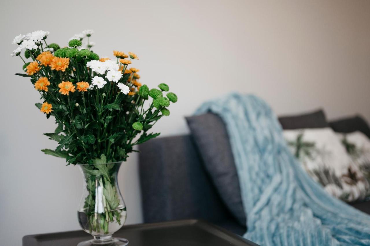 Nocosfera Apartament Serbinow Kaliszki エクステリア 写真
