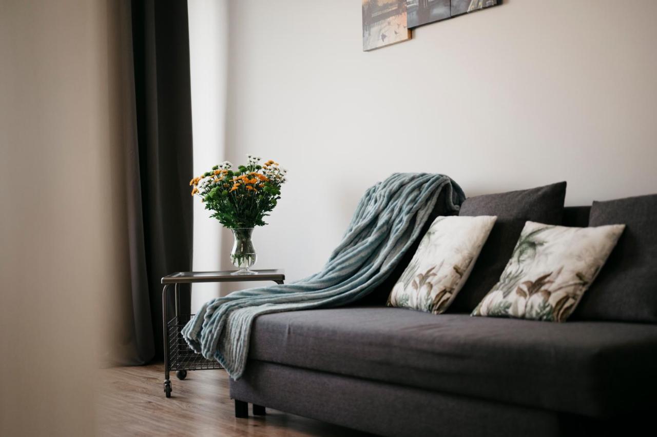 Nocosfera Apartament Serbinow Kaliszki エクステリア 写真